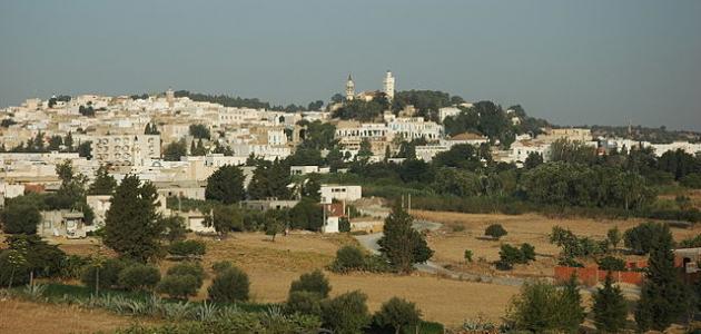 مدينة زغوان في تونس