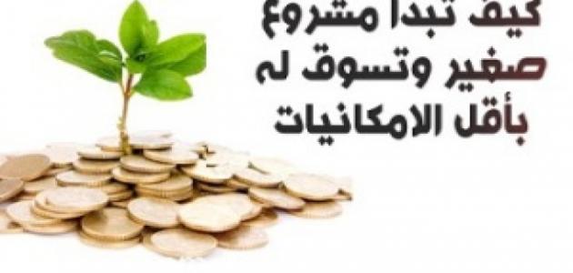 مشروعات صغيرة