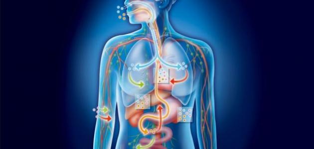 معلومات طبية عامة عن جسم الإنسان