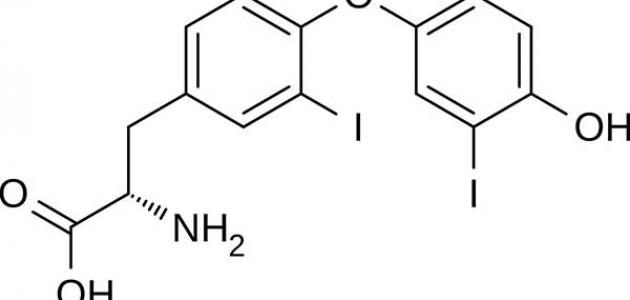 معلومات عن هرمون الثيروكسين