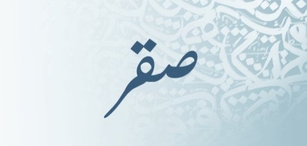 معنى اسم صقر