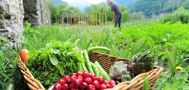 مفهوم التنمية الريفية