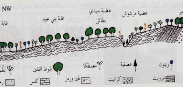 مم تتكون التربة