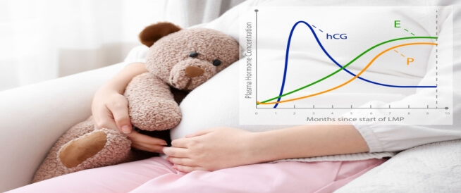 نسبة هرمون الحمل في اليوم 14 من الترجيع
