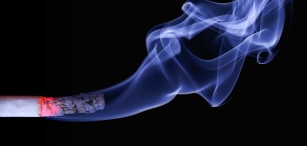 هل التدخين يضعف الجسم
