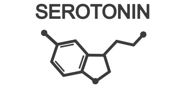 هل هناك علاقة بين السيروتونين والعادة السرية؟